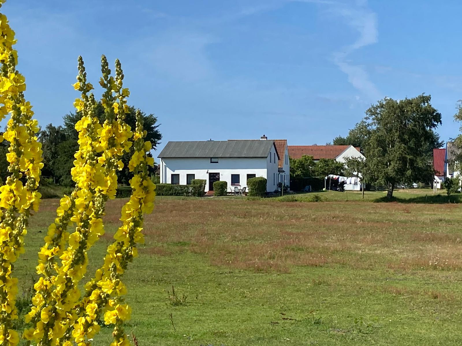Haus Stining